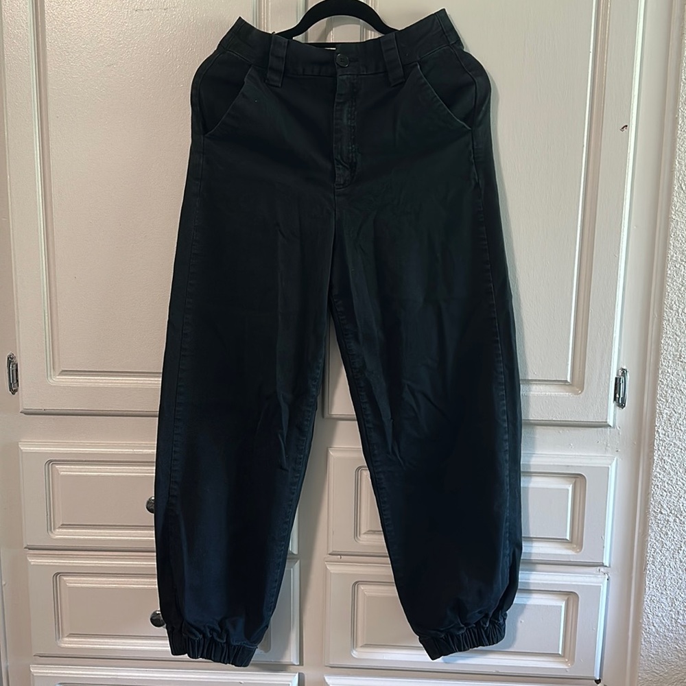 BDG Carpenter Jogger/Cargo Pants